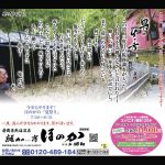 6月17日に広告を掲載しました